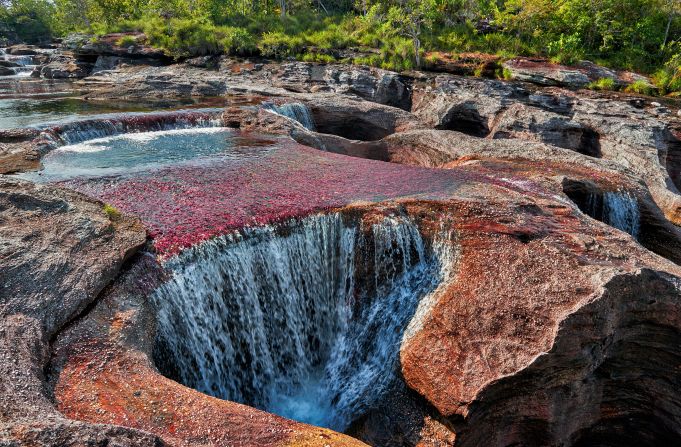 Caño Cristales thumbnail